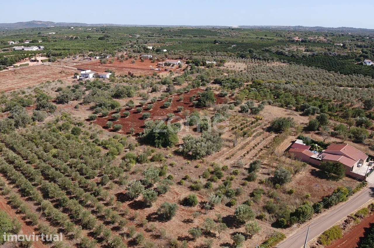 Terreno Rústico com 2.060m2 em Torreirão, Messines - Grande imagem: 2/15