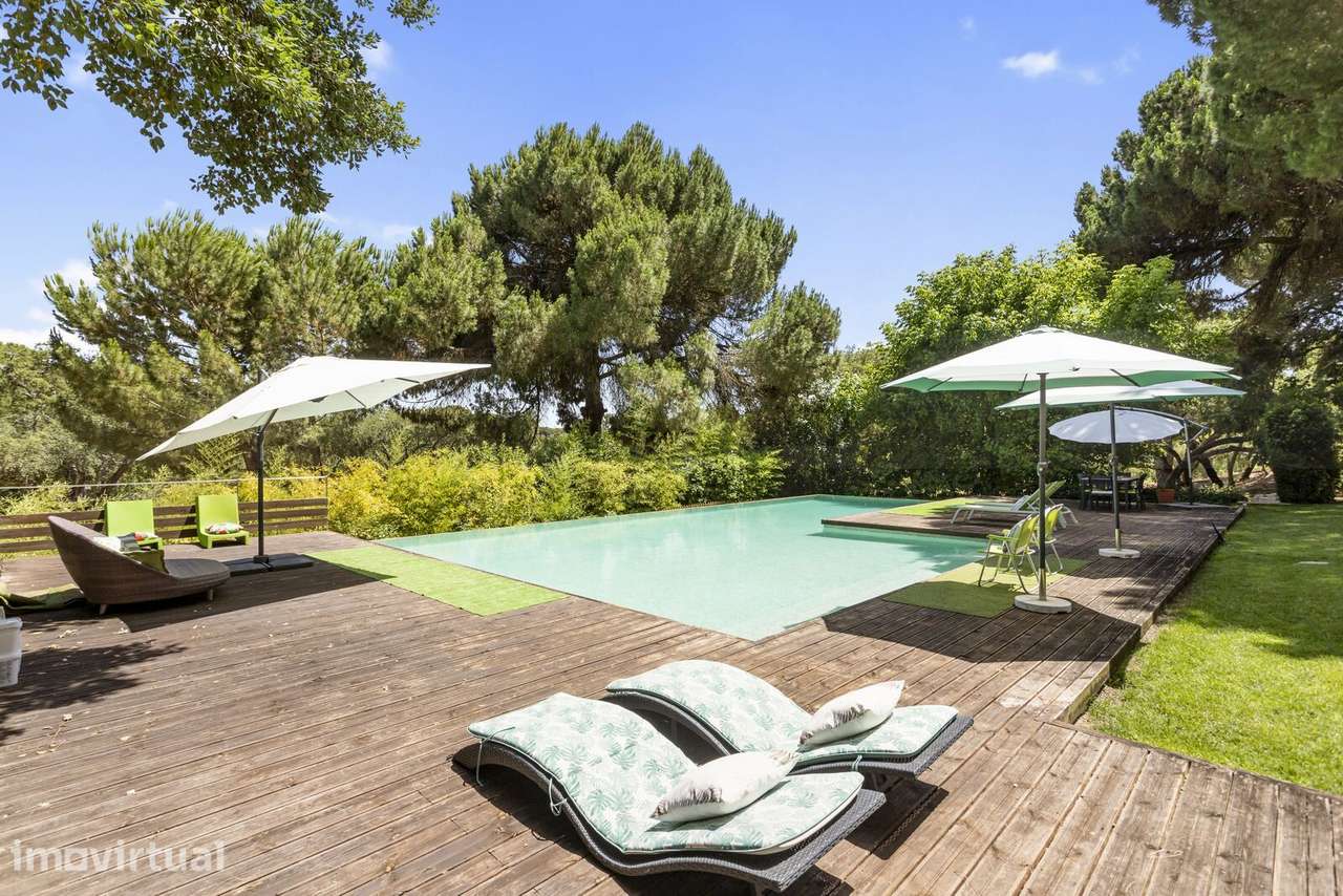 Quinta 20.4 ha, Grandola - Grande imagem: 2/41