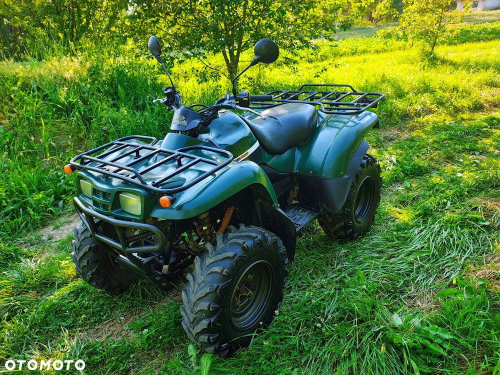 Kawasaki Brute Force - 3