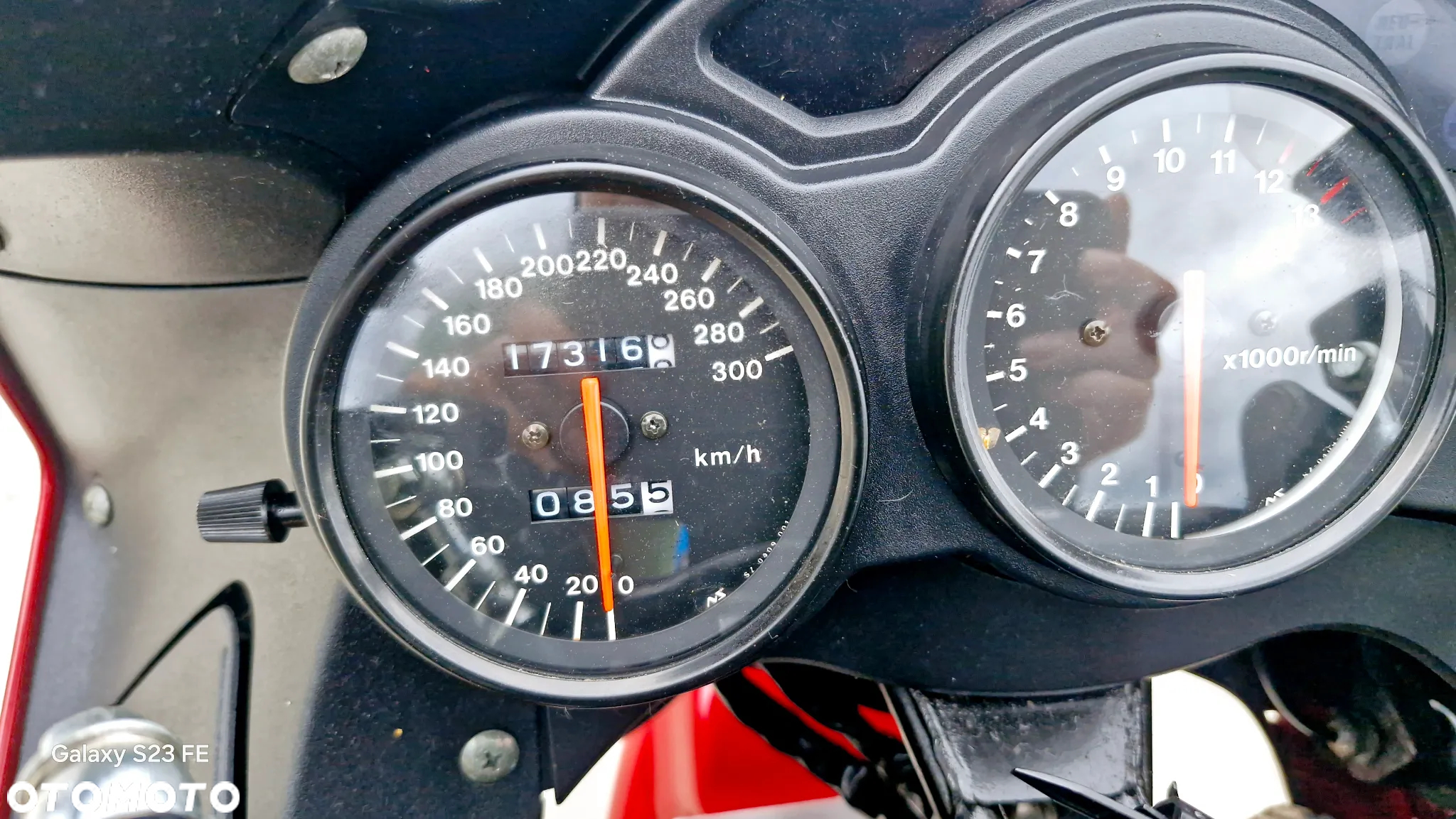 Suzuki RF - 8
