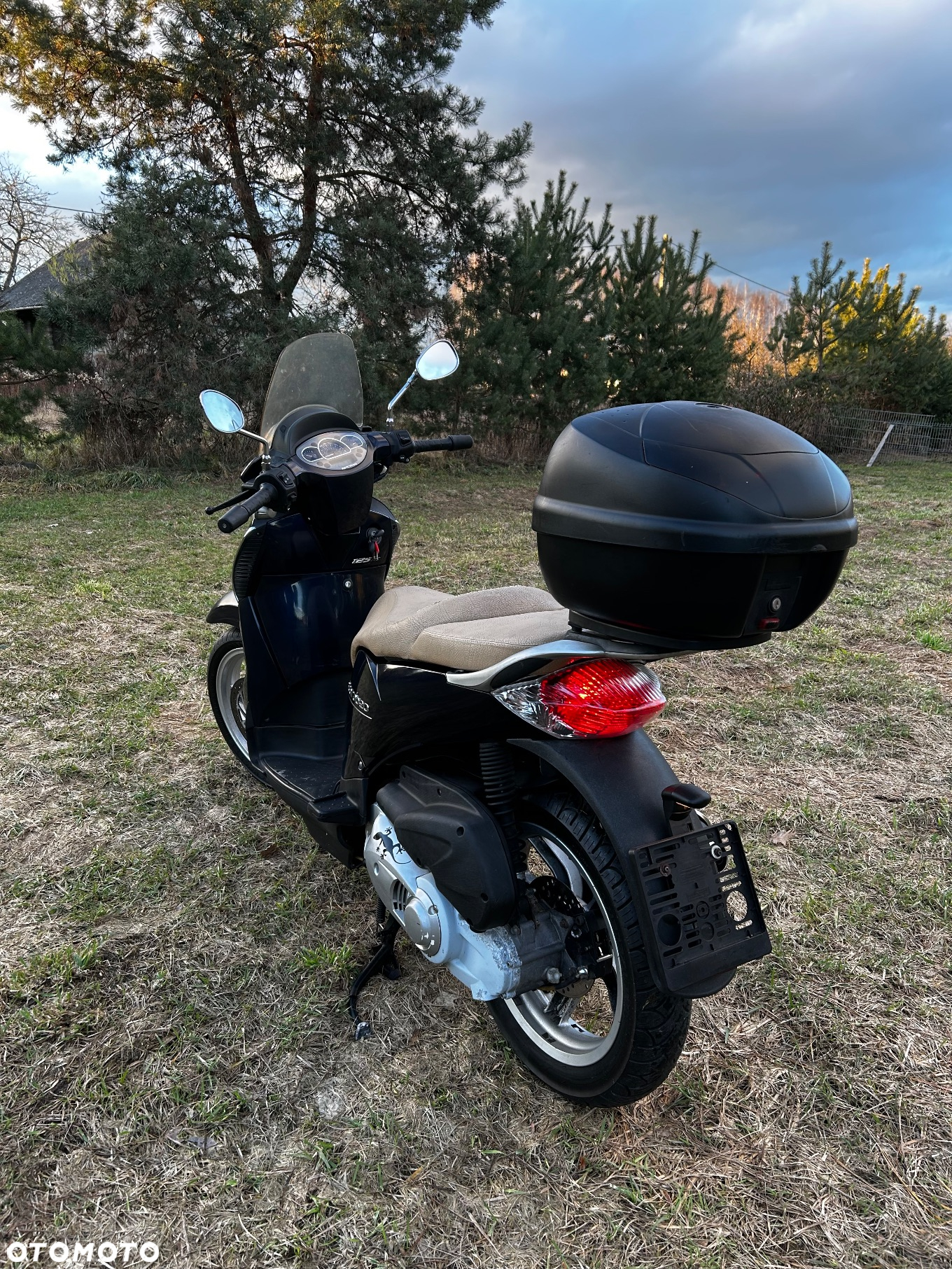 Aprilia Scarabeo - 3