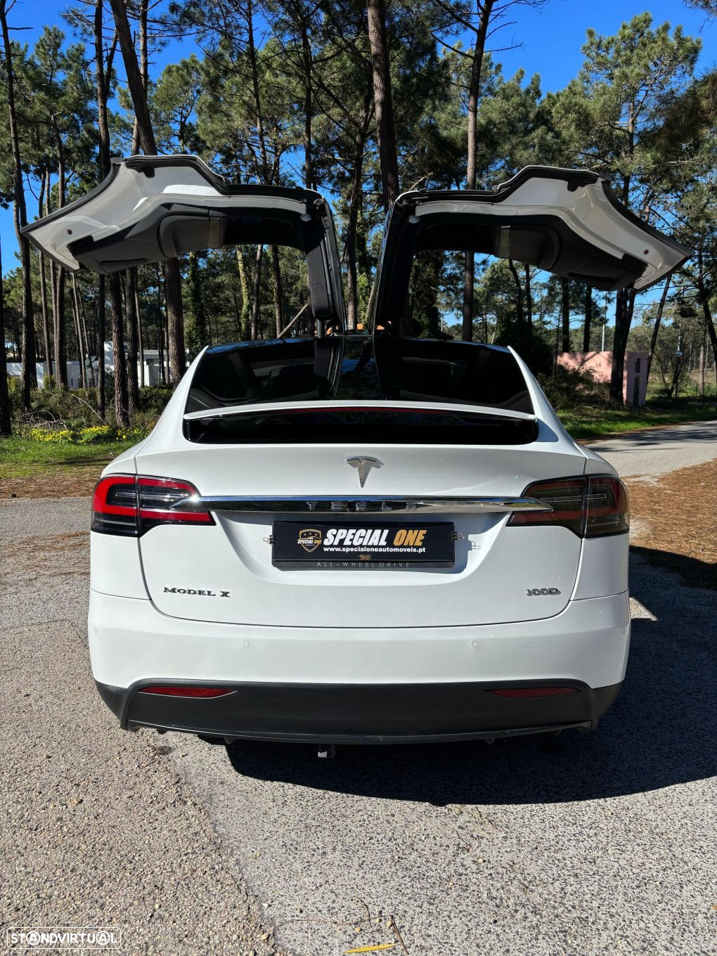 Tesla Model X 100D - 6
