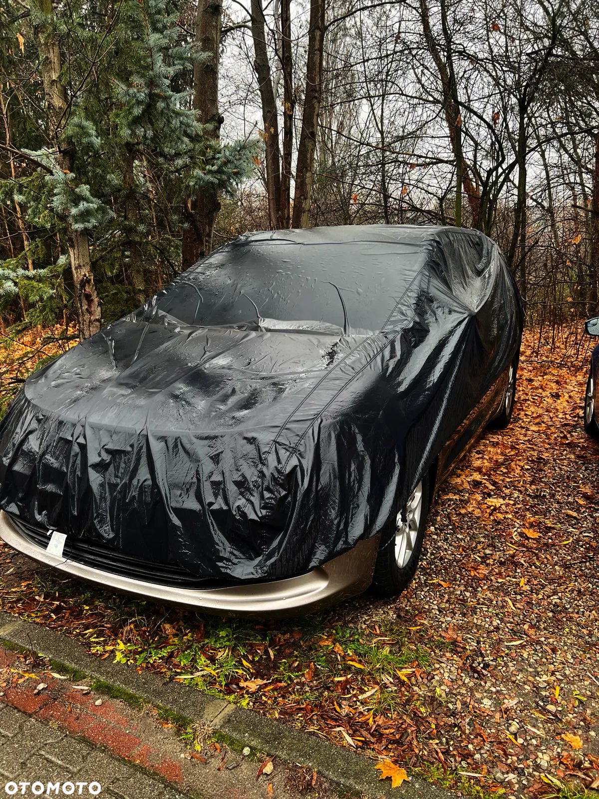 Chrysler Pacifica - 15