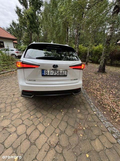 Lexus NX 300h Elegance Optimum AWD - 6