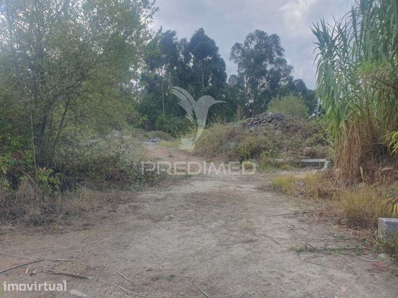 Terreno com 22 000m2 em Fafe - Grande imagem: 5/15