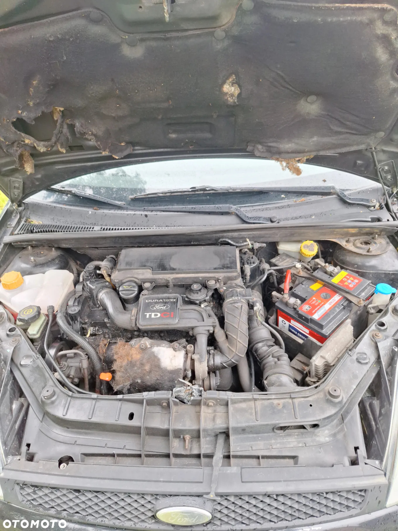 Ford Fiesta 1.4 TDCi - 11