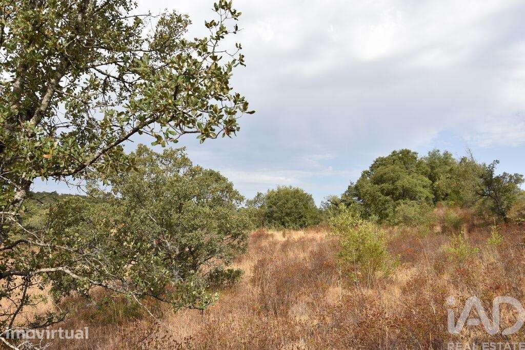 Terreno em Areias e Pias de 5640,00 m2