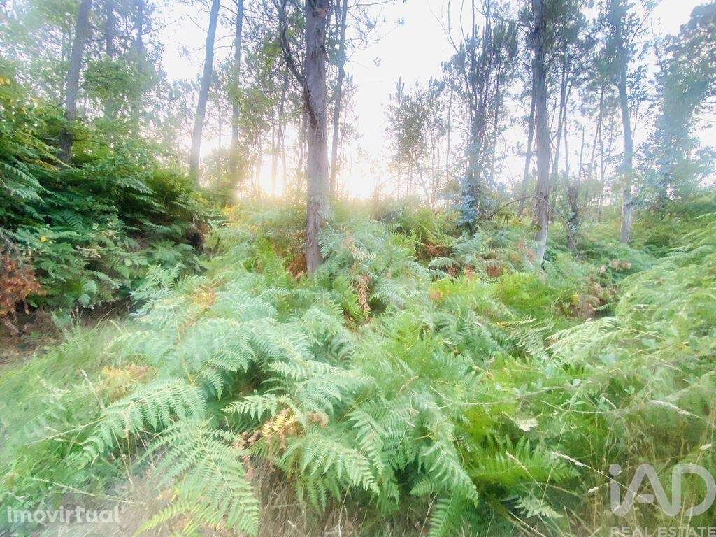 Terreno em Sapardos de 612,00 m2 - Grande imagem: 3/8