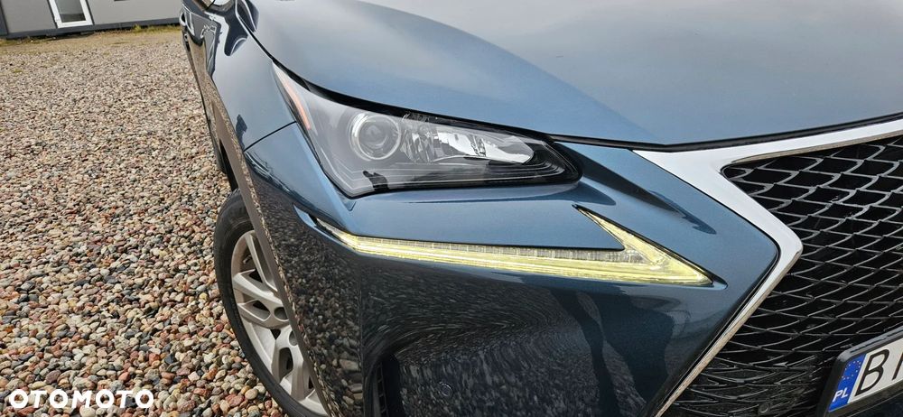 Lexus NX 300h Business Edition - 13