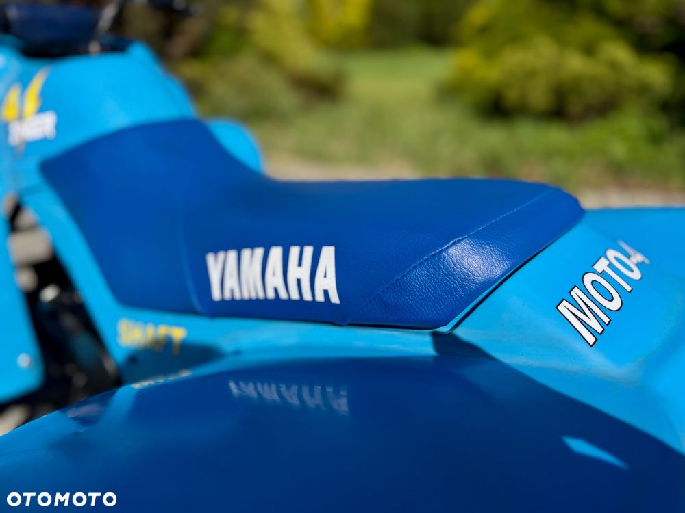Yamaha Raptor - 7