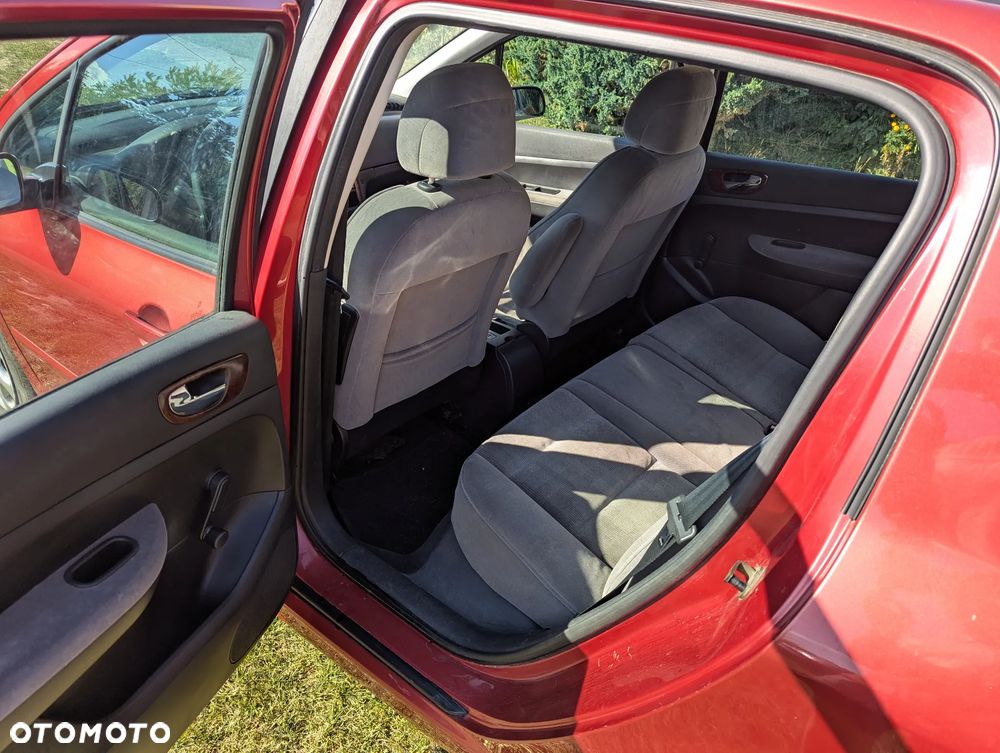 Peugeot 307 1.6 - 16