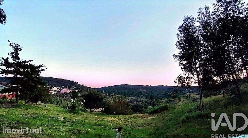 Quinta T5 em Ferreirós do Dão de 197 m2 - Grande imagem: 4/32