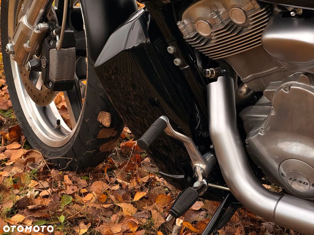 Harley-Davidson V-Rod Muscle - 30