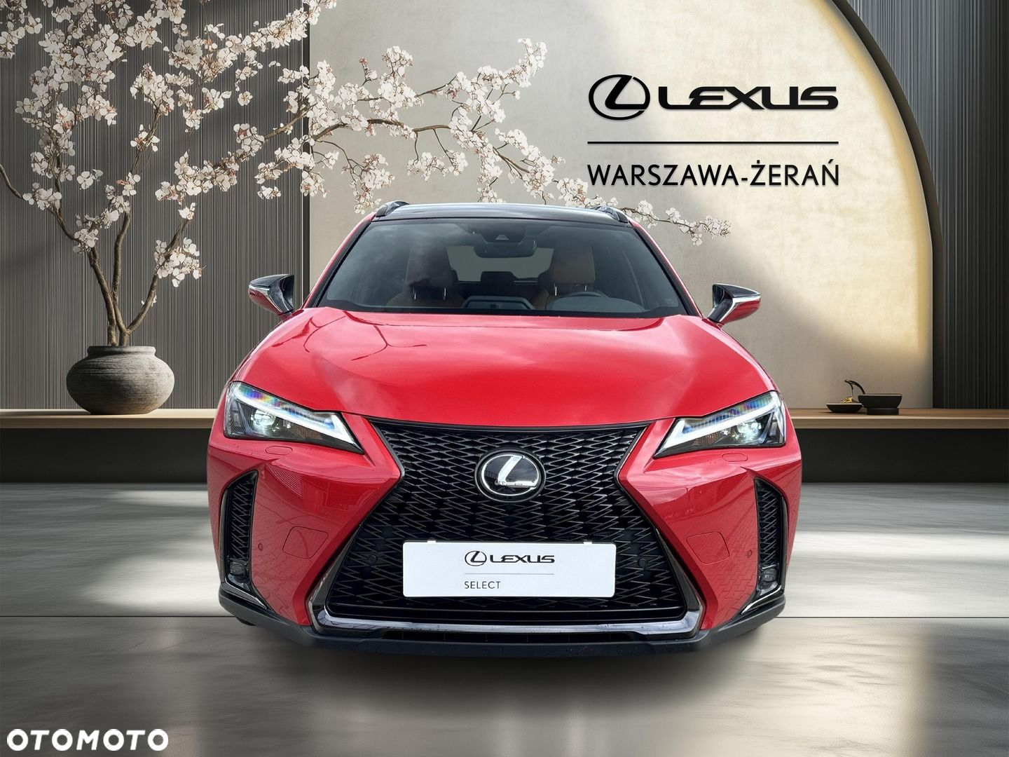 Lexus UX - 10