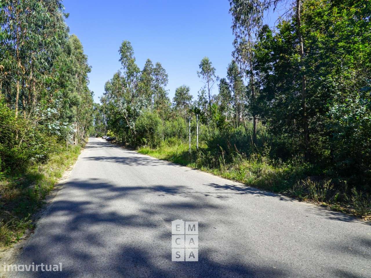Armazém  Venda em Oliveira de Azeméis, Santiago de Riba-Ul, Ul, Macinh - Grande imagem: 2/15