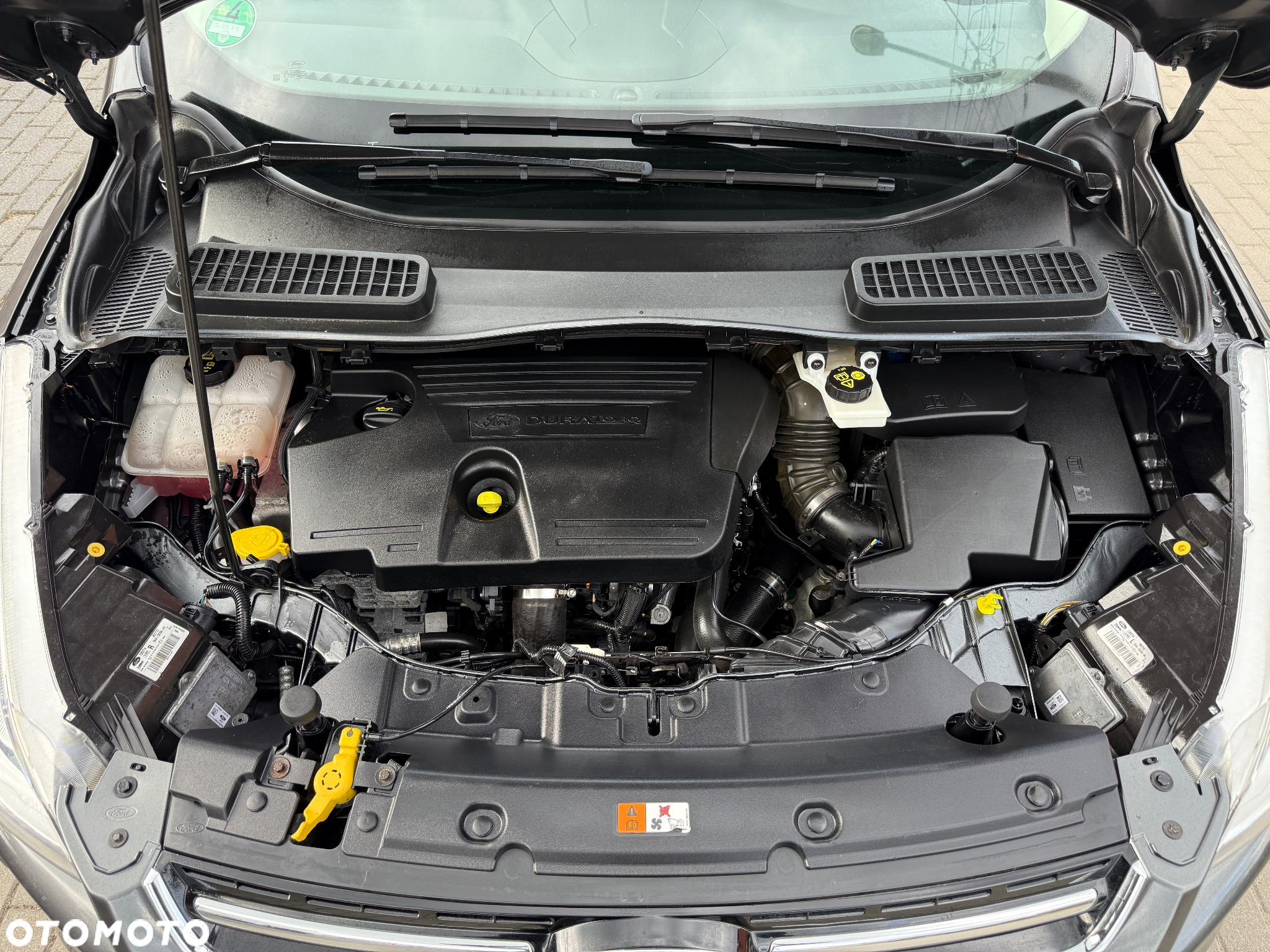 Ford Kuga 2.0 TDCi 2x4 Individual - 34