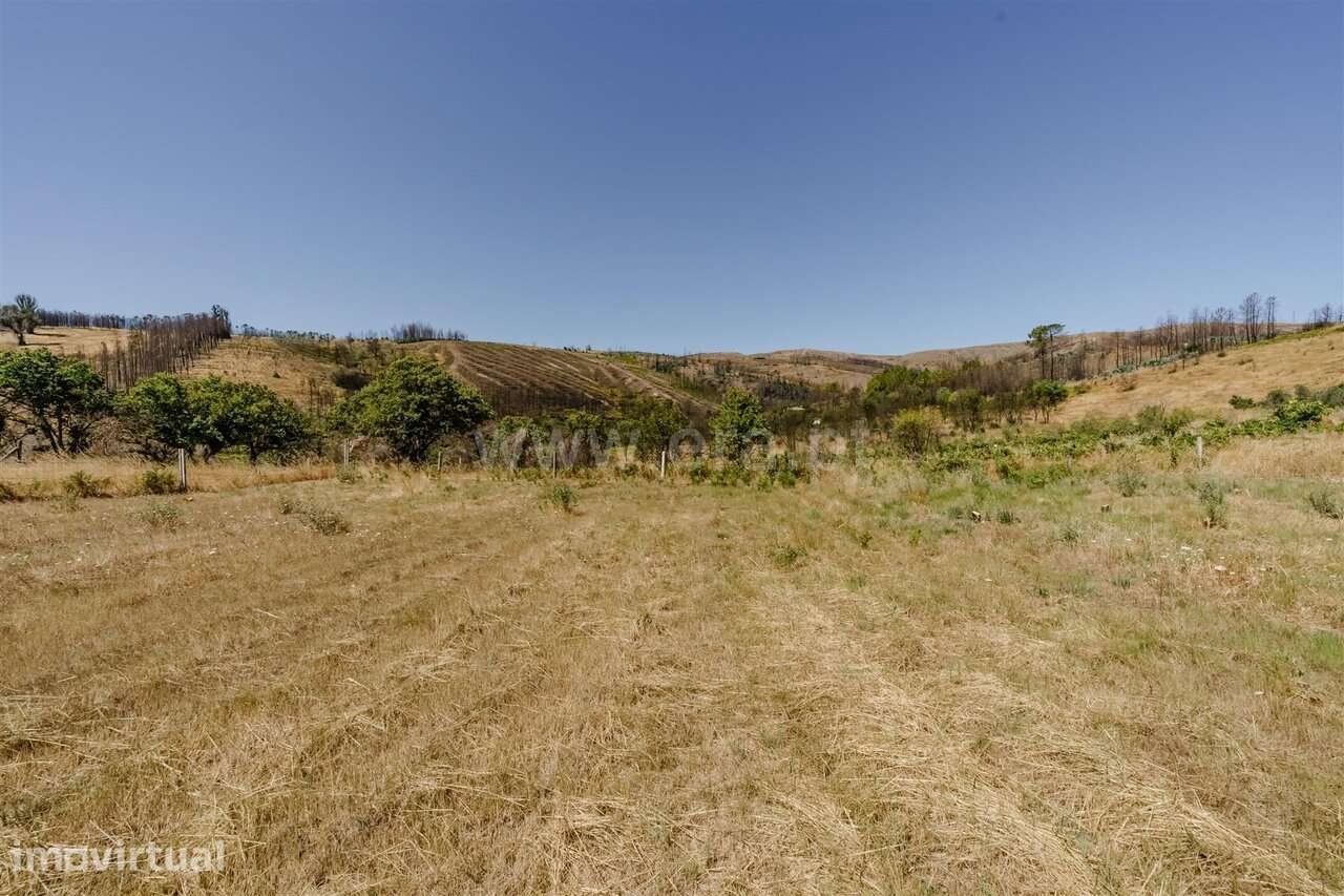 Quintinha T1 / Covilhã, Erada - Grande imagem: 5/20