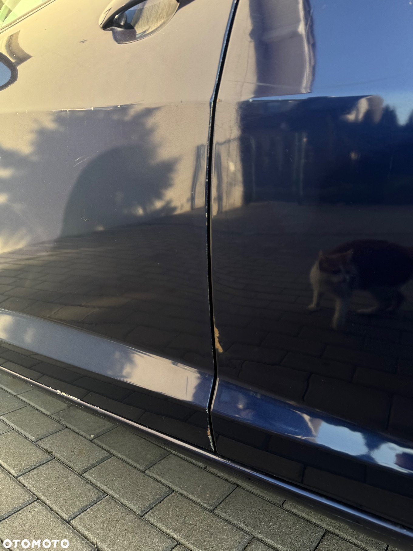 Seat Ibiza 1.6 16V Comfort Edition - 5