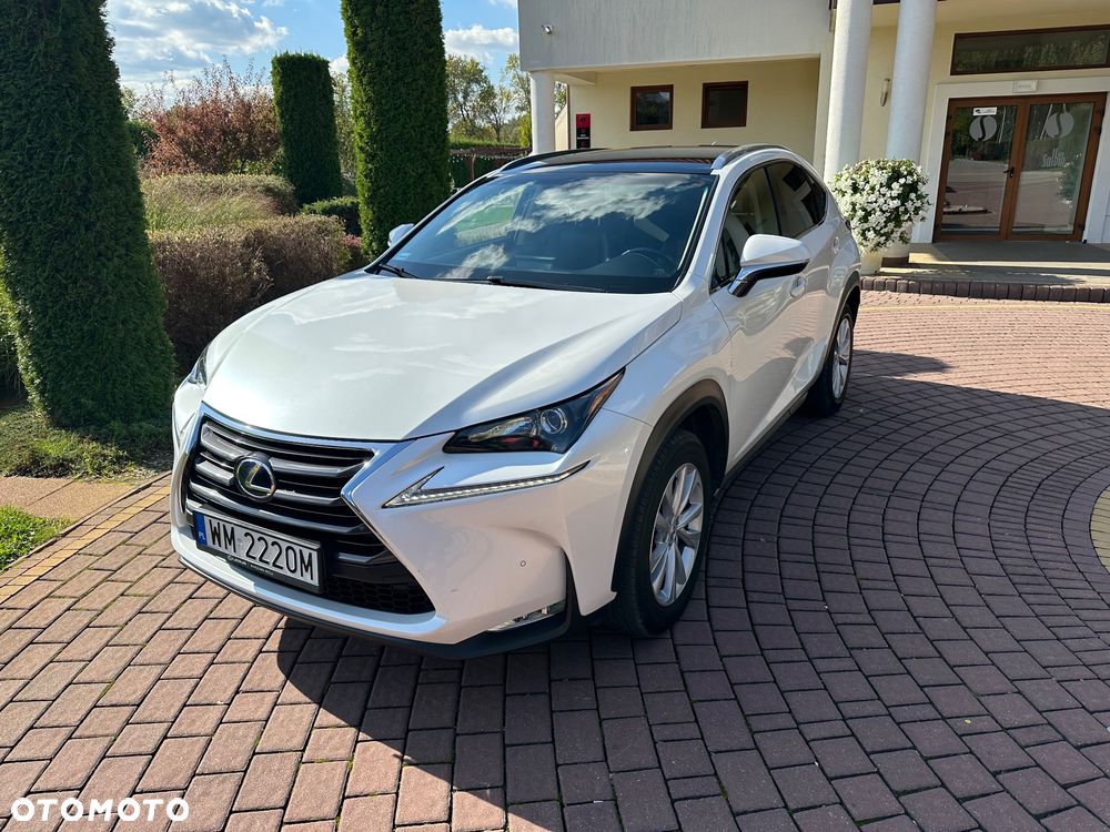 Lexus NX - 16