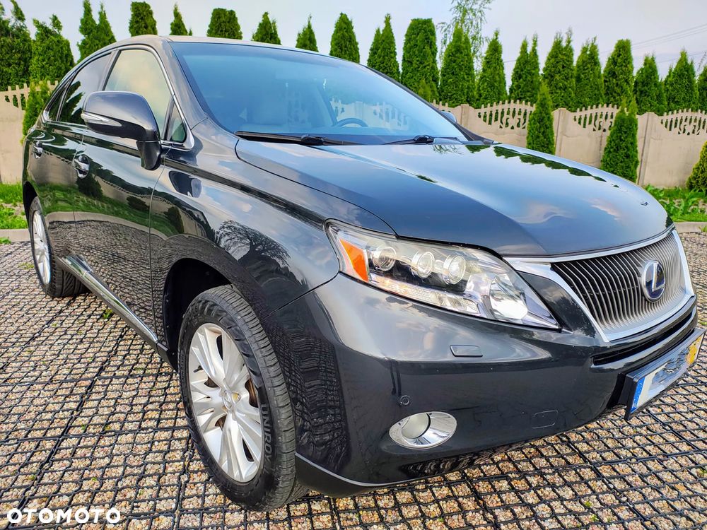 Lexus RX - 36