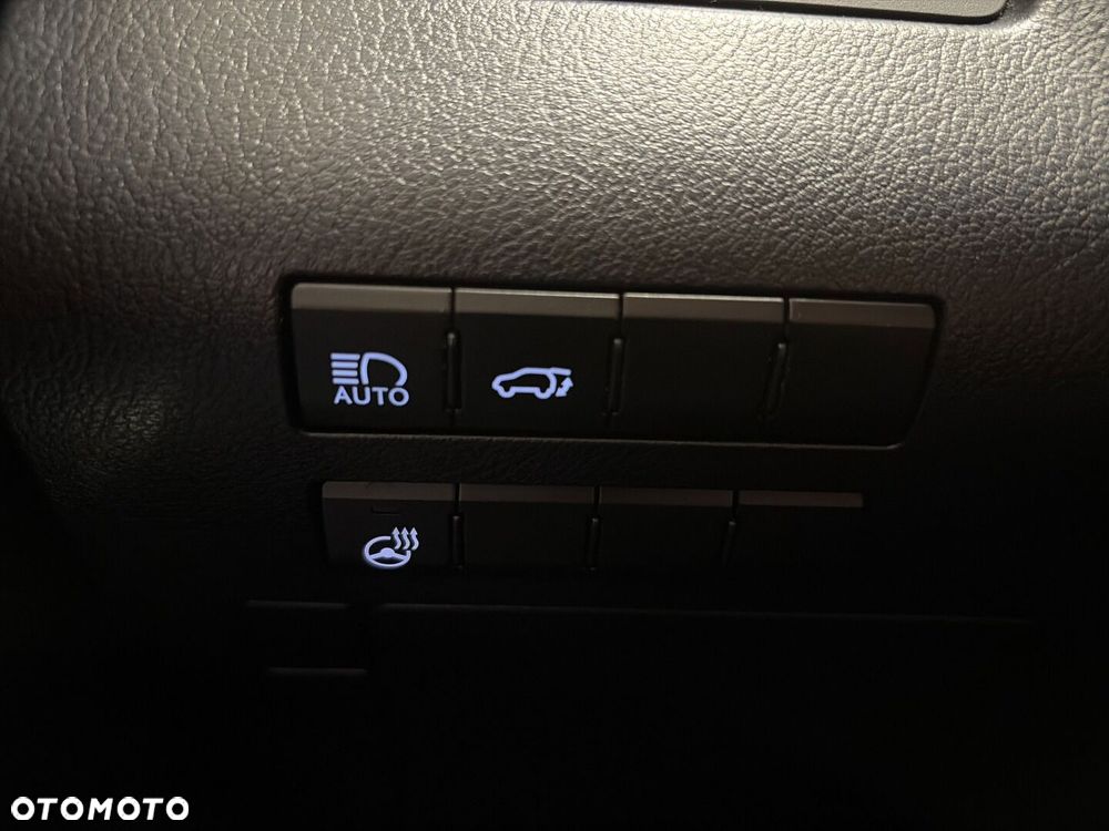 Lexus RX 450h F-Impression - 18