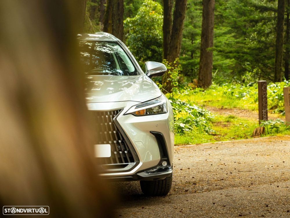 Lexus NX 350h Executive+ - 21