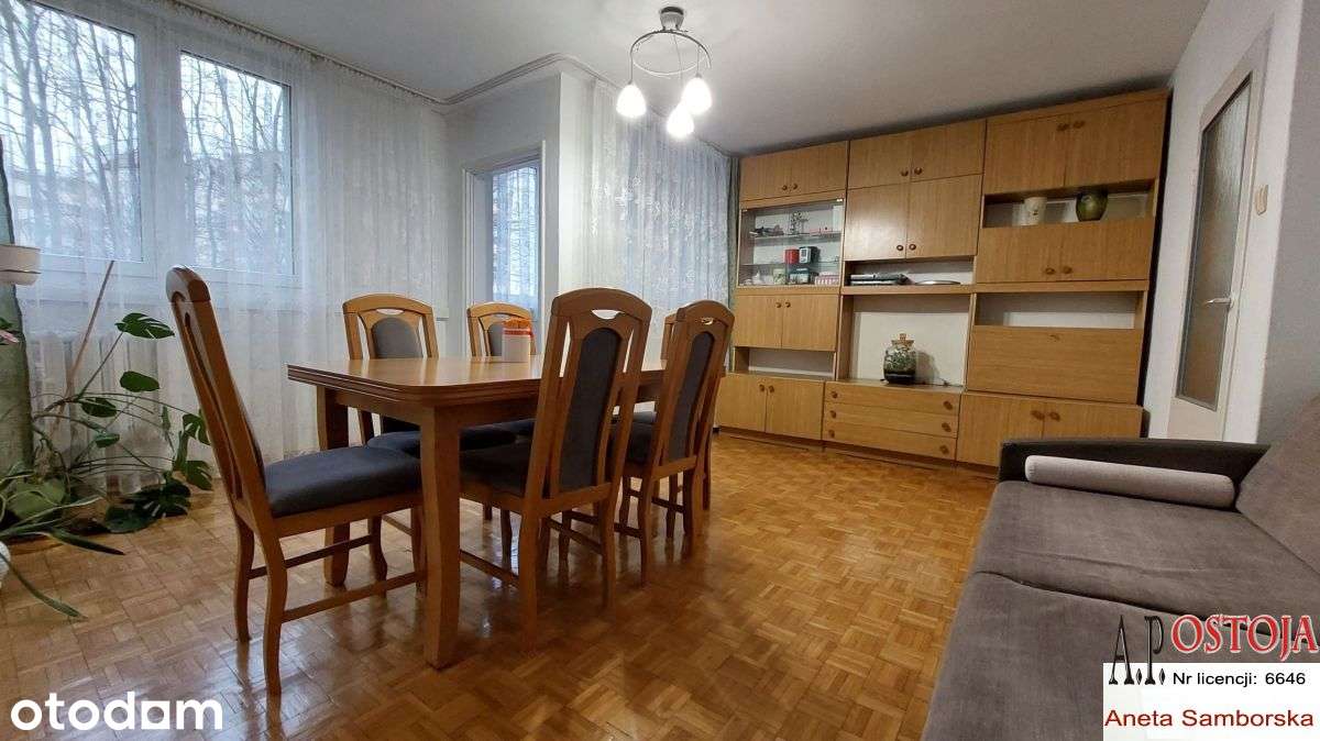 Borek, rozkład, balkon! Zielono! Cicho!