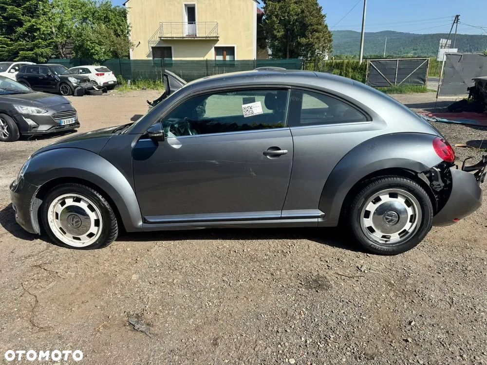 Volkswagen Beetle - 14