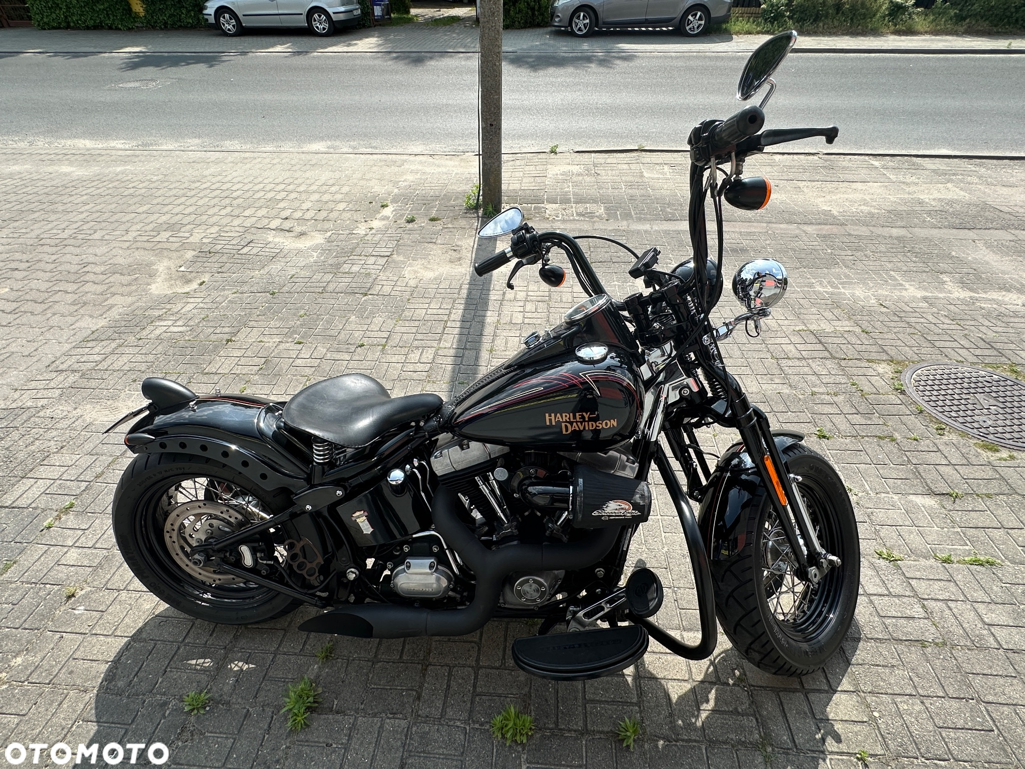 Harley-Davidson Softail Cross Bones - 19