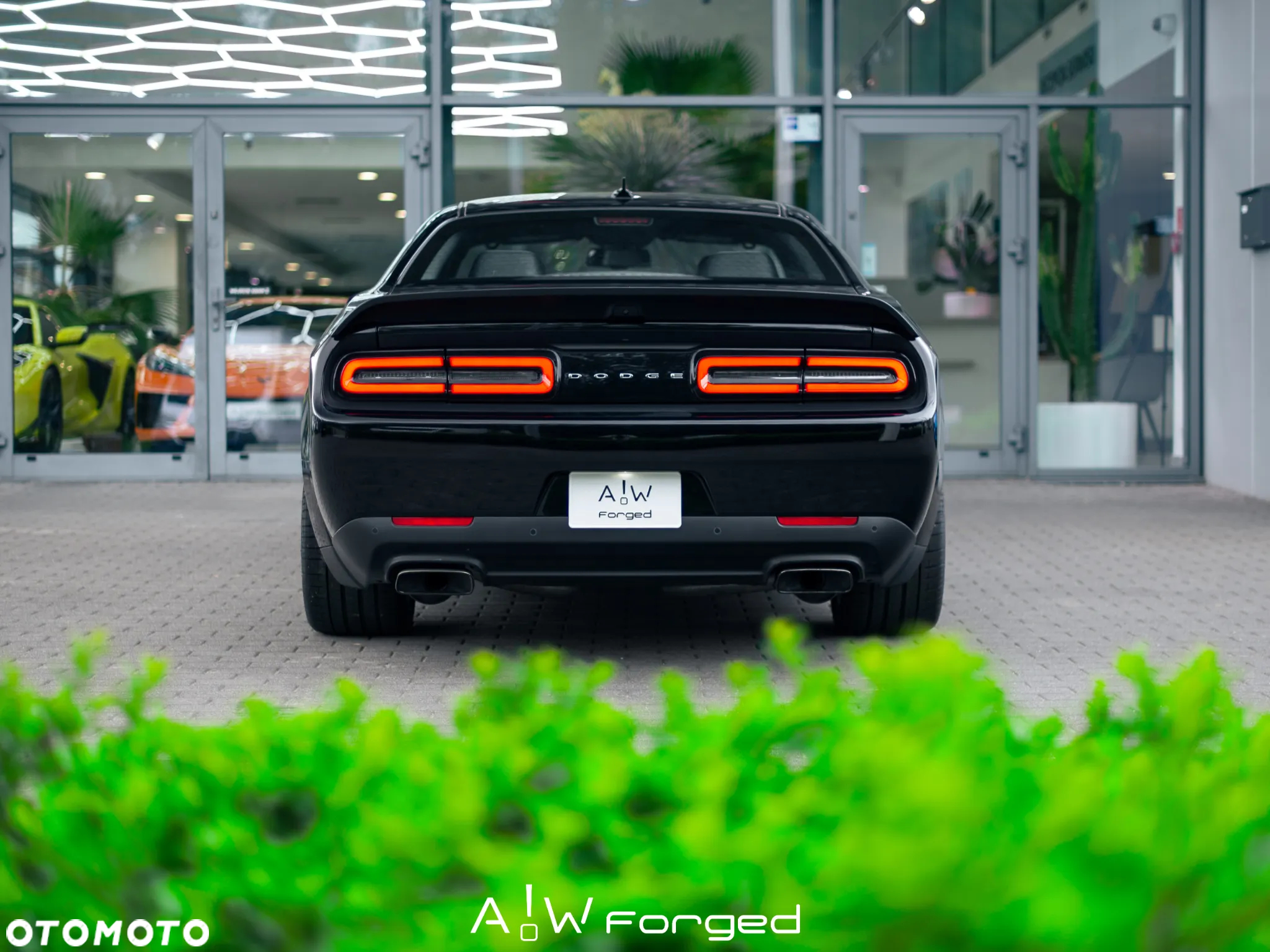 Dodge Challenger 6.2 Redeye Widebody - 8