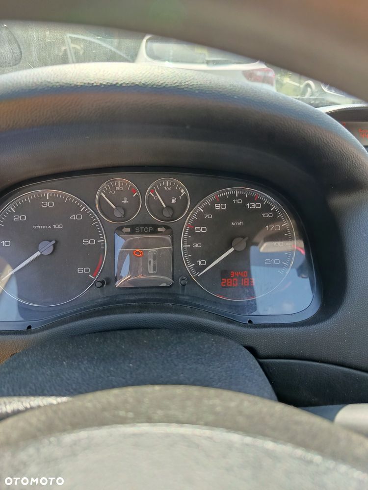 Peugeot 307 - 5