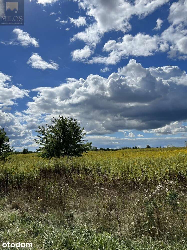 Działka inwestycyjna - Pełny obrazek: 2/5