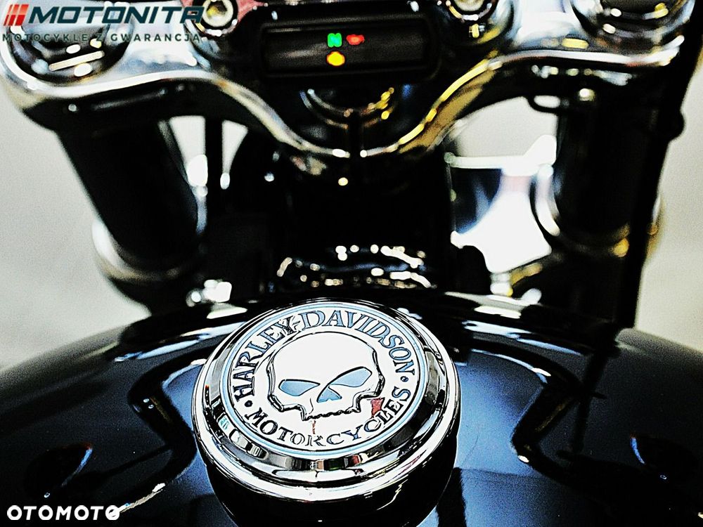 Harley-Davidson Softail Standard - 12