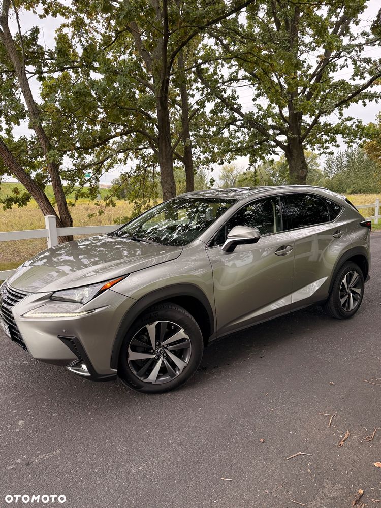 Lexus NX 300 Omotenashi AWD - 3