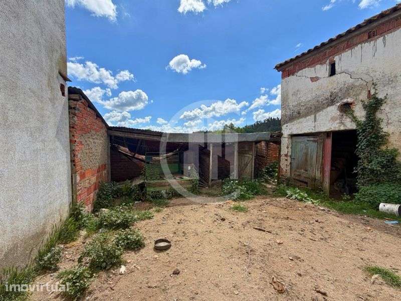 OPORTUNIDADE DE INVESTIMENTO EM NAGOSELA – SANTA COMBA DÃO - Grande imagem: 4/7