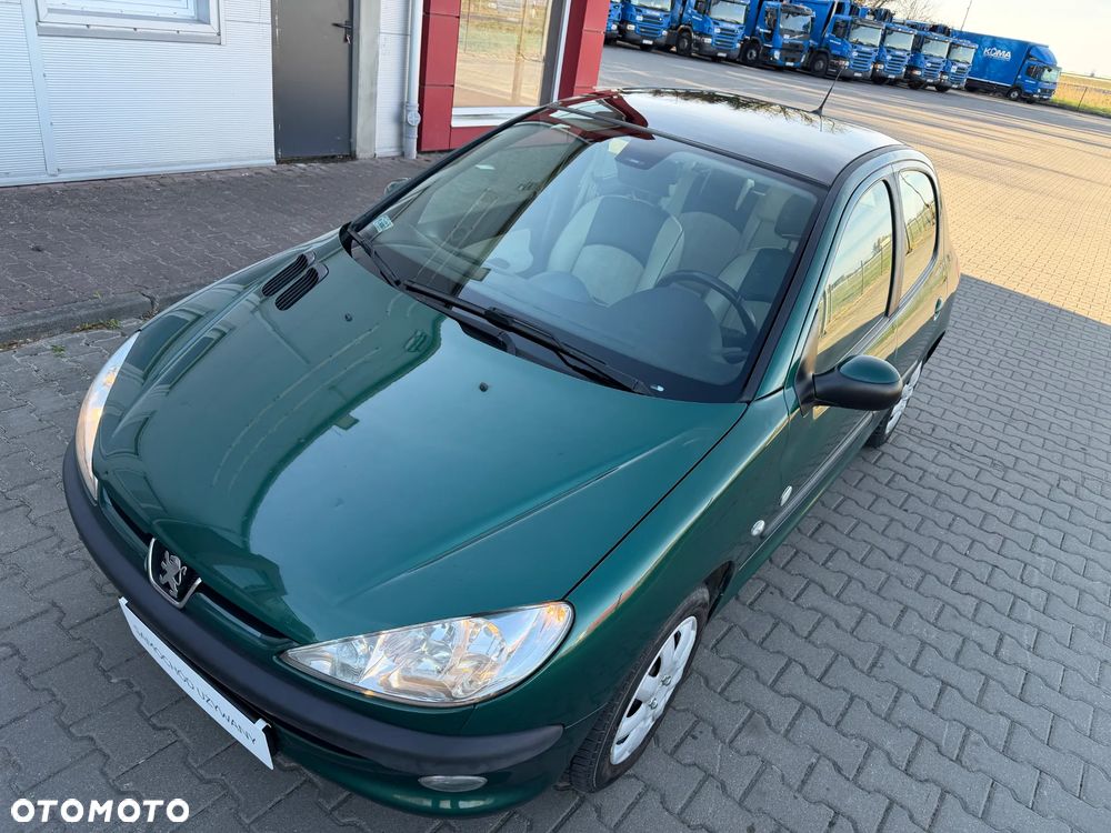 Peugeot 206 75 Grand Filou Cool - 9