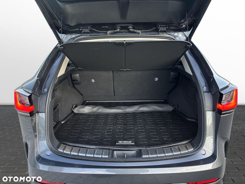 Lexus NX - 13