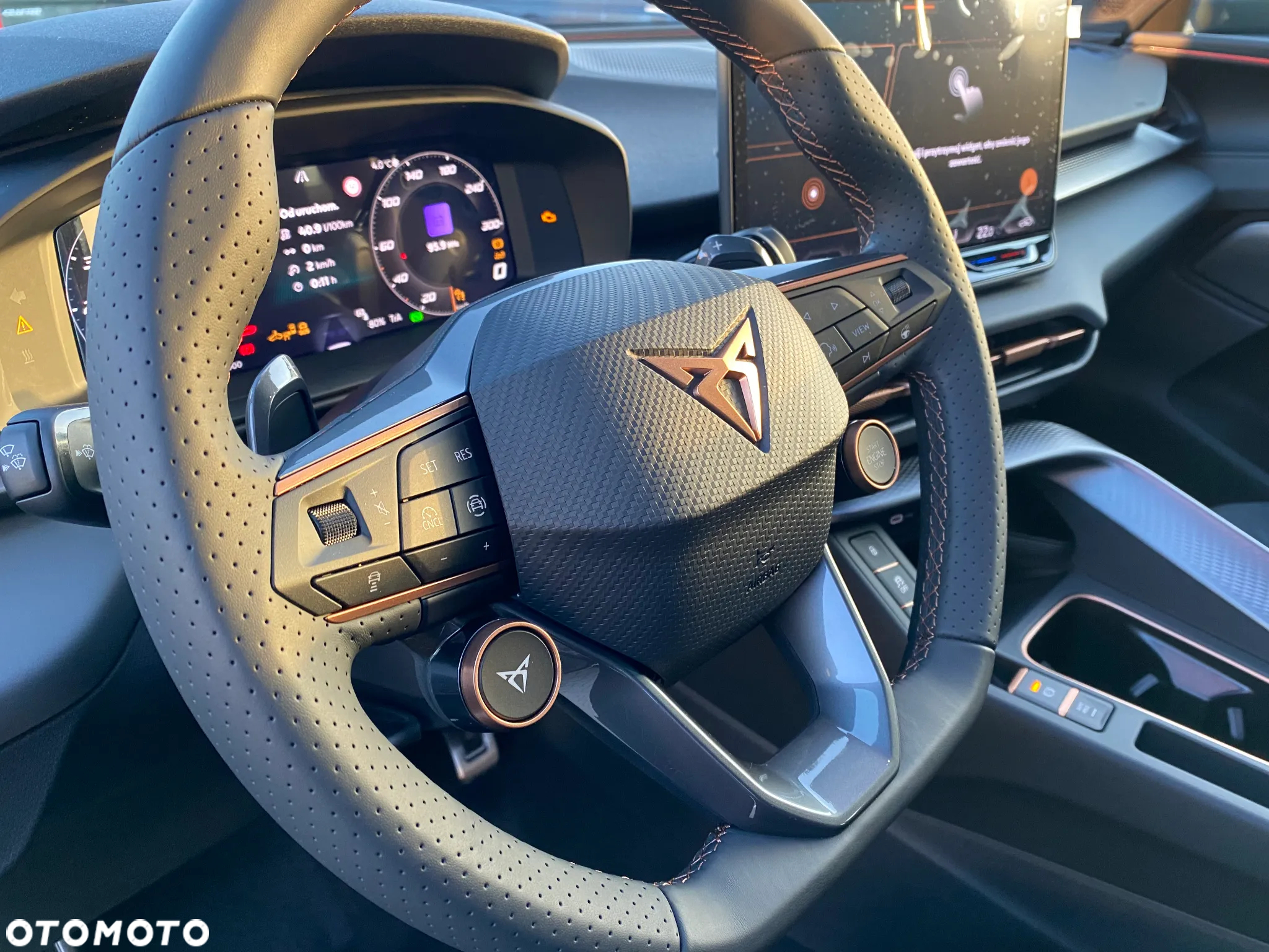 Cupra Terramar - 19