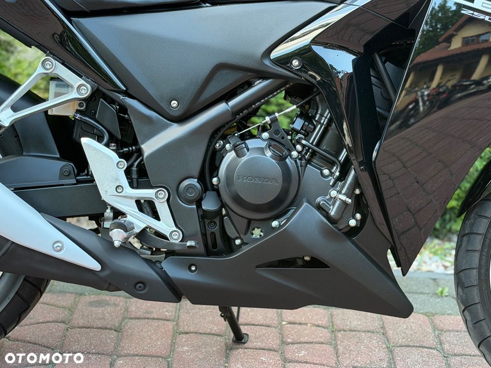 Honda CBR - 13