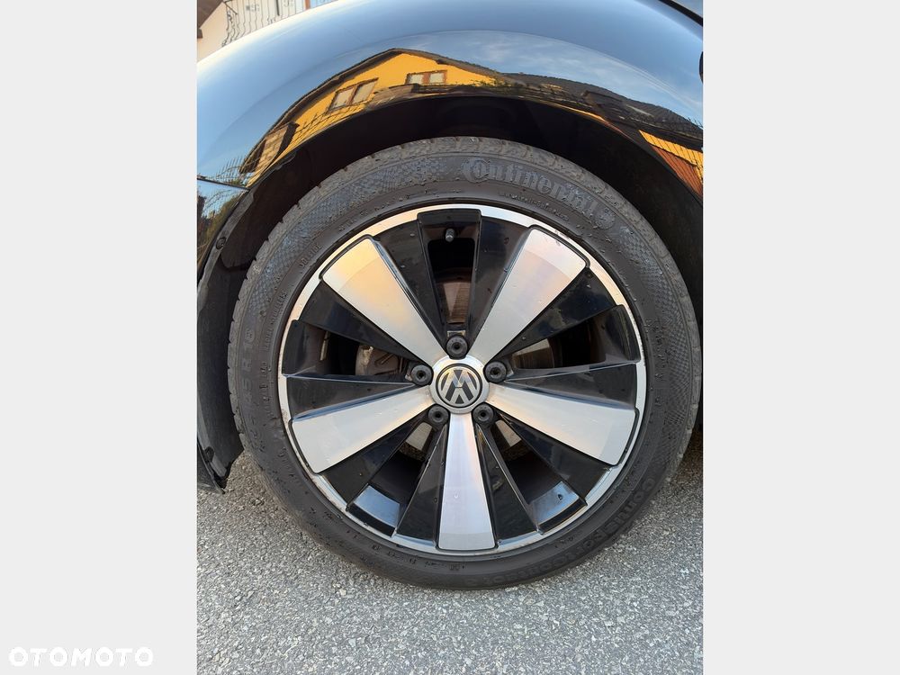Volkswagen Beetle - 31