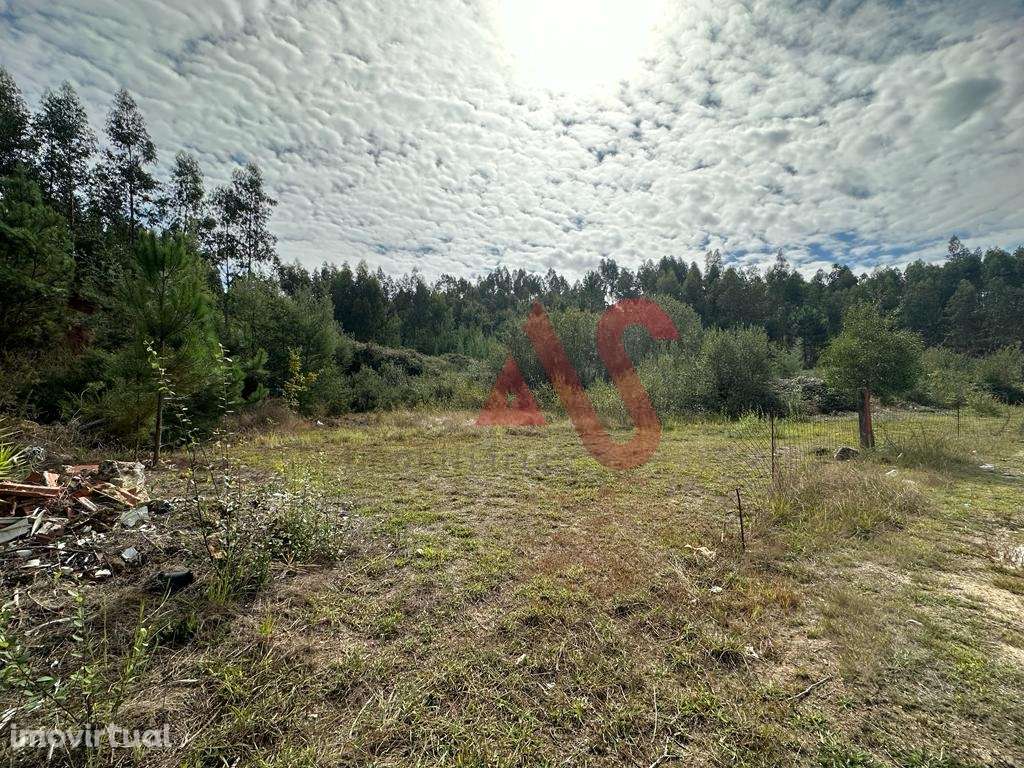 Terreno com 15.329m2 em Sande São Lourenço, Guimarães - Grande imagem: 5/14