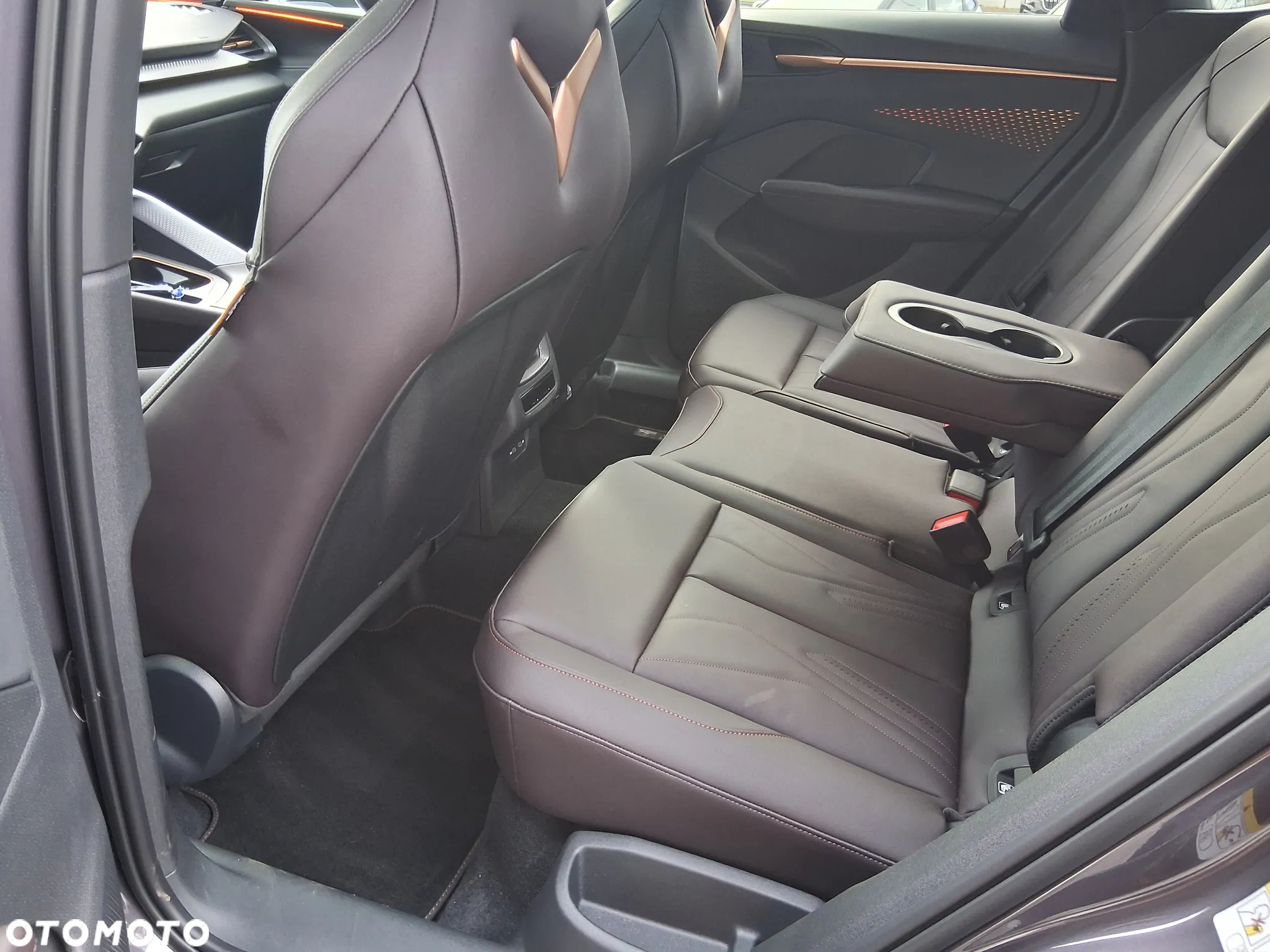 Cupra Terramar - 14