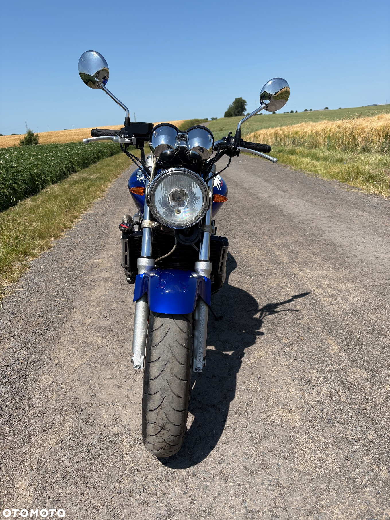 Honda Hornet - 12