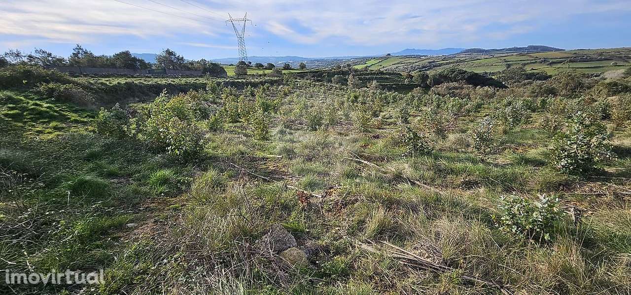 Terreno  para venda - Grande imagem: 2/15