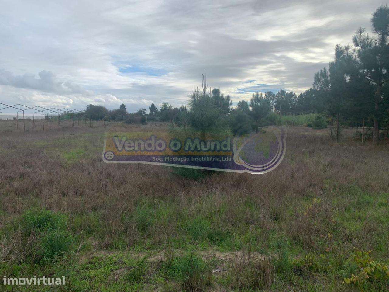 Terreno em Foros de Salvaterra (F758) - Grande imagem: 4/9