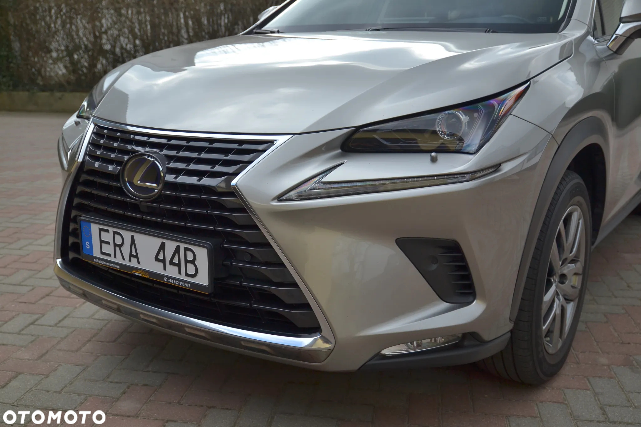 Lexus NX 350h Prestige AWD - 9