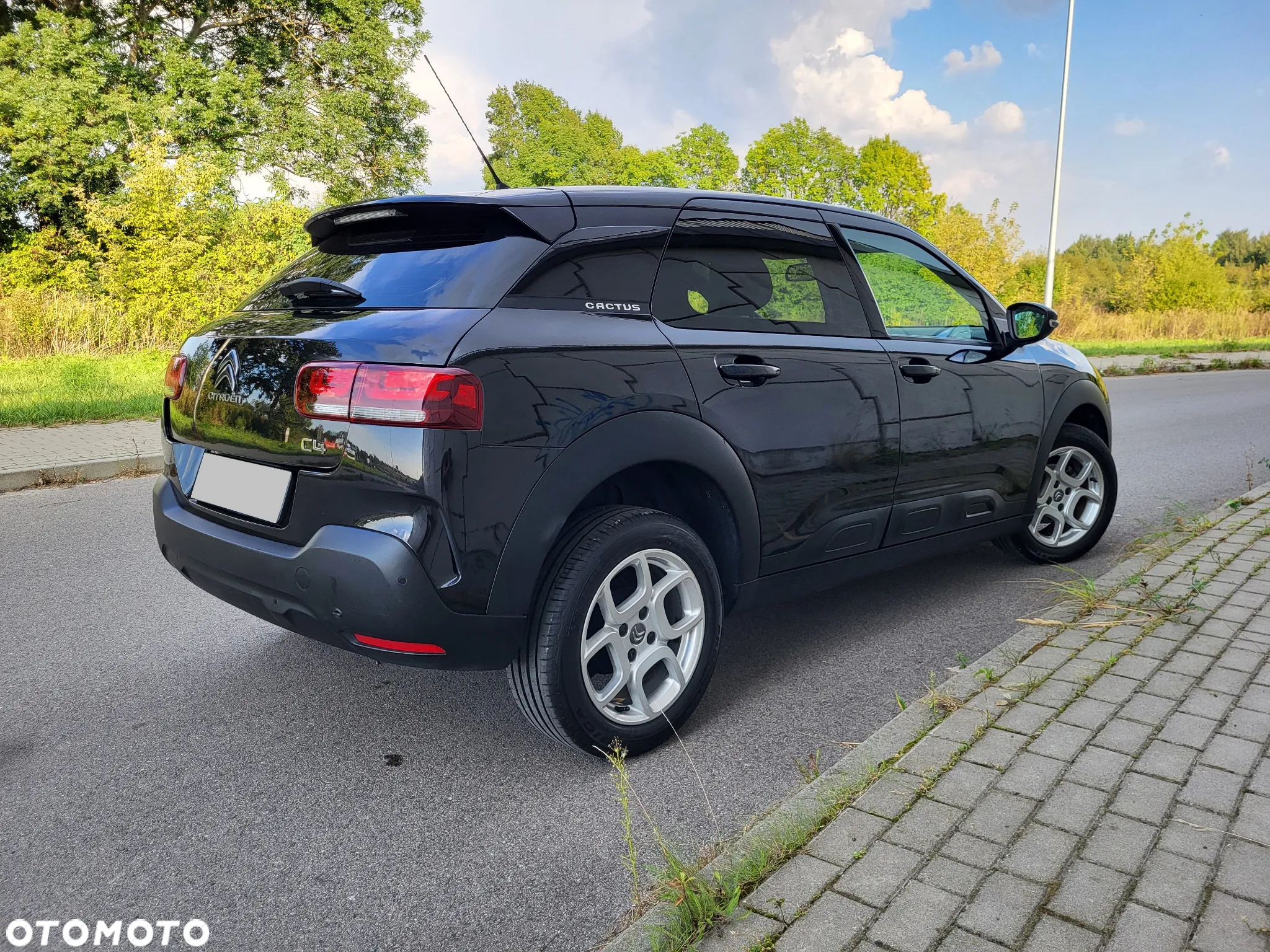 Citroën C4 Cactus - 4