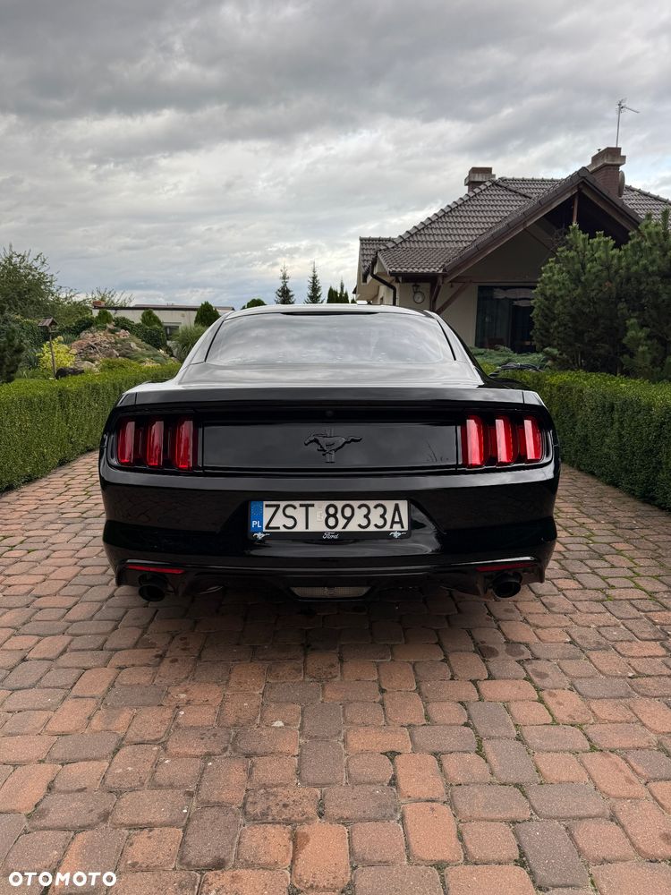 Ford Mustang 3.7 V6 - 6