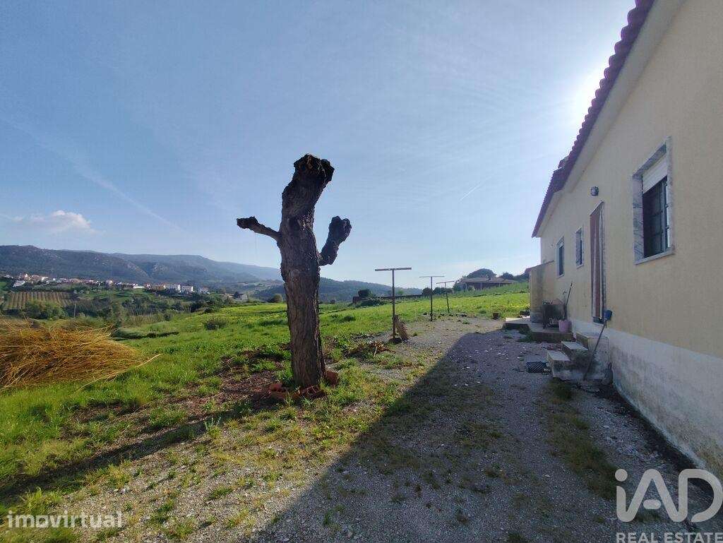 Casa / Villa T4 em Lamas e Cercal de 138 m2 - Grande imagem: 5/40