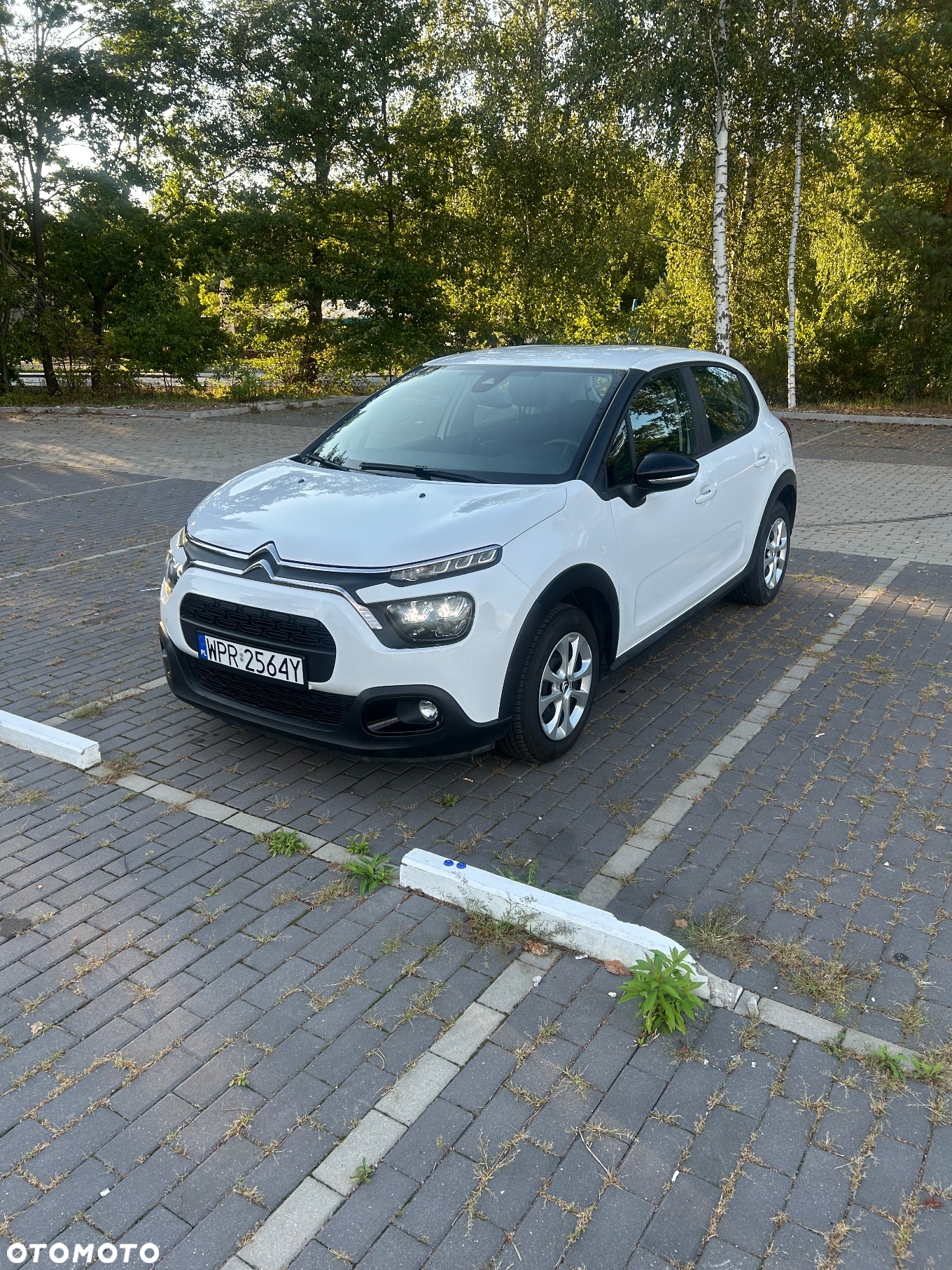 Citroën C3 1.2 PureTech Plus - 33